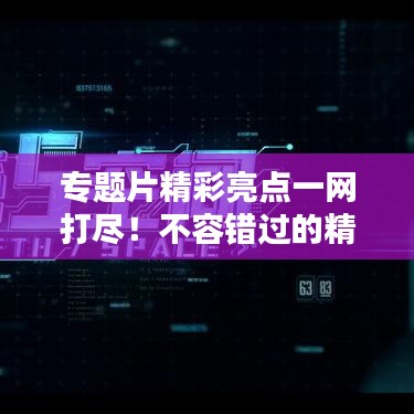 专题片精彩亮点一网打尽！不容错过的精彩内容