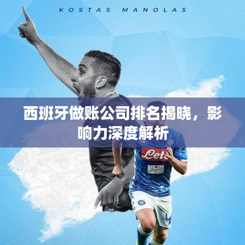 西班牙做账公司排名揭晓，影响力深度解析