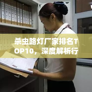 杀虫路灯厂家排名TOP10，深度解析行业领军者