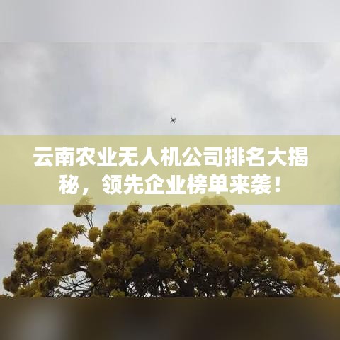 云南农业无人机公司排名大揭秘，领先企业榜单来袭！
