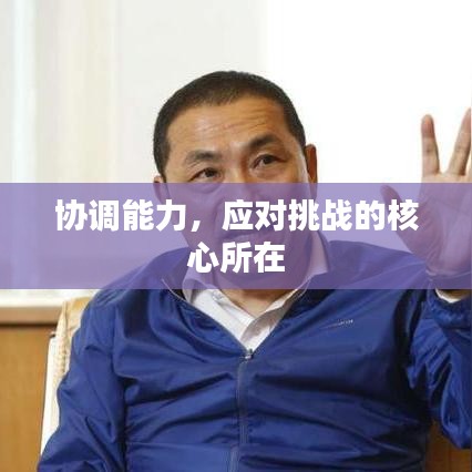 协调能力，应对挑战的核心所在