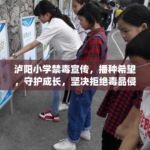 泸阳小学禁毒宣传，播种希望，守护成长，坚决拒绝毒品侵害