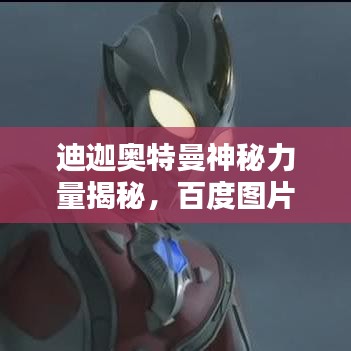 丰冠简介 第12页