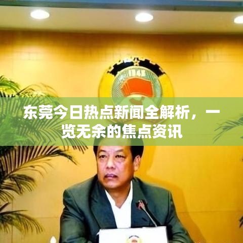 东莞今日热点新闻全解析，一览无余的焦点资讯
