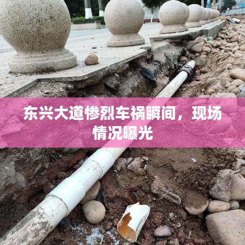 东兴大道惨烈车祸瞬间，现场情况曝光