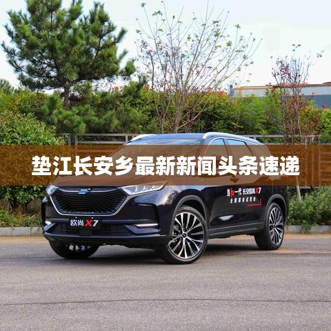 垫江长安乡最新新闻头条速递