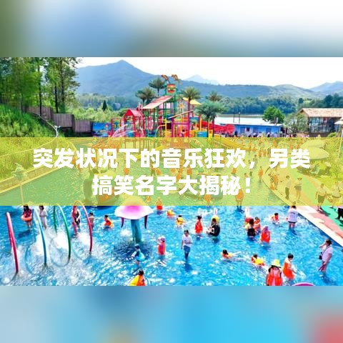 突发状况下的音乐狂欢，另类搞笑名字大揭秘！