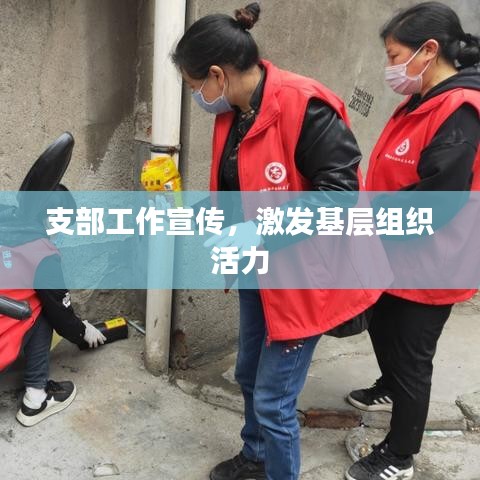 支部工作宣传，激发基层组织活力