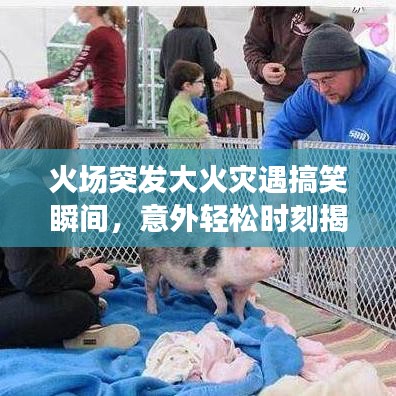 火场突发大火灾遇搞笑瞬间，意外轻松时刻揭秘！