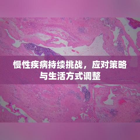 慢性疾病持续挑战，应对策略与生活方式调整