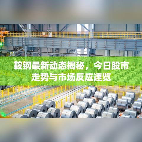 鞍钢最新动态揭秘，今日股市走势与市场反应速览