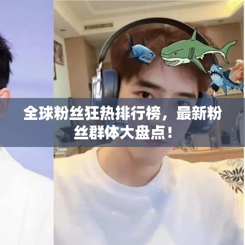 全球粉丝狂热排行榜，最新粉丝群体大盘点！