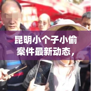 昆明小个子小偷案件最新动态，身边犯罪现象需警惕
