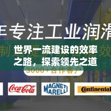 世界一流建设的效率之路，探索领先之道