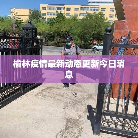 榆林疫情最新动态更新今日消息