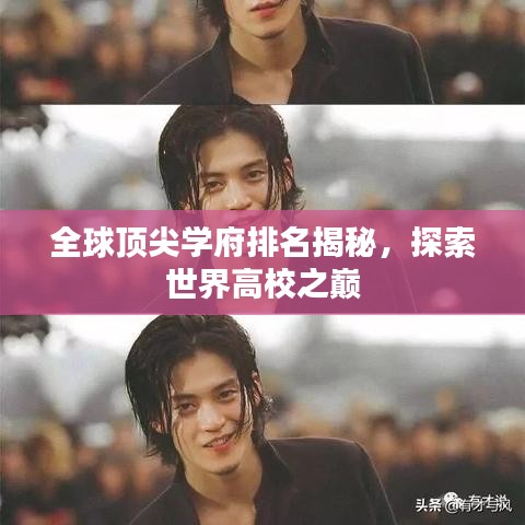 全球顶尖学府排名揭秘，探索世界高校之巅