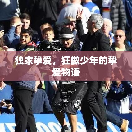 独家挚爱，狂傲少年的挚爱物语