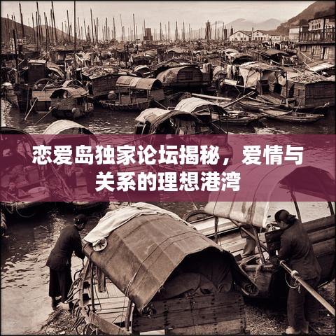 恋爱岛独家论坛揭秘，爱情与关系的理想港湾