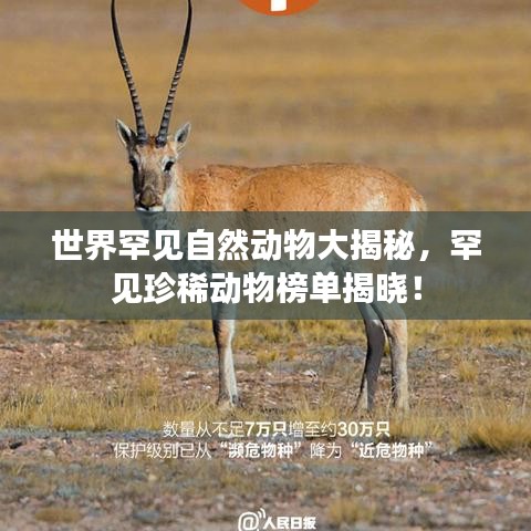 世界罕见自然动物大揭秘，罕见珍稀动物榜单揭晓！