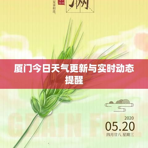 厦门今日天气更新与实时动态提醒