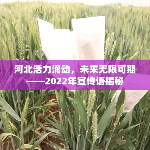 河北活力涌动，未来无限可期——2022年宣传语揭秘
