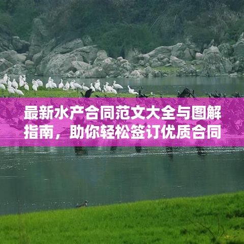 最新水产合同范文大全与图解指南，助你轻松签订优质合同！