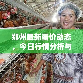 郑州最新蛋价动态，今日行情分析与预测