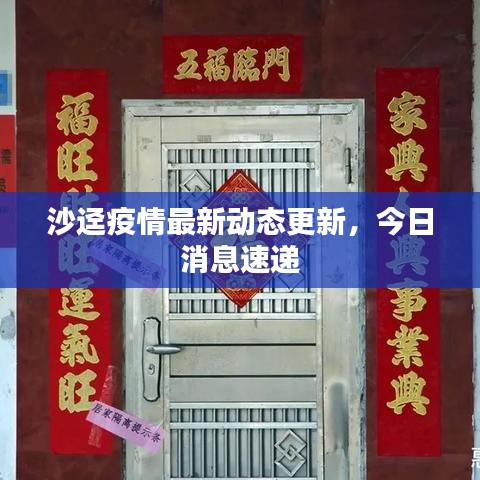 沙迳疫情最新动态更新，今日消息速递