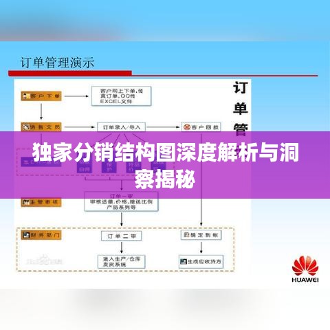 独家分销结构图深度解析与洞察揭秘