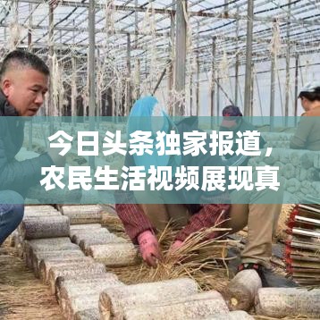 今日头条独家报道，农民生活视频展现真实风采