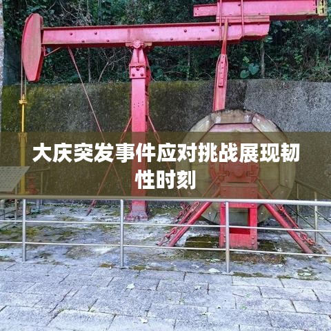 大庆突发事件应对挑战展现韧性时刻