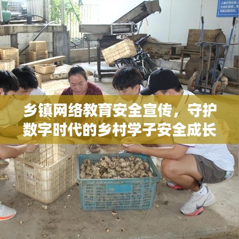 乡镇网络教育安全宣传，守护数字时代的乡村学子安全成长之路