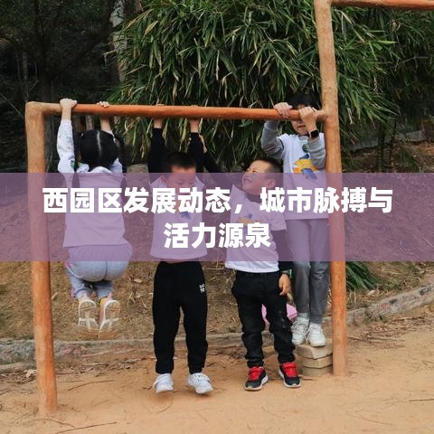 西园区发展动态，城市脉搏与活力源泉