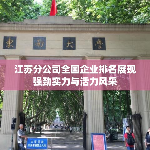 江苏分公司全国企业排名展现强劲实力与活力风采