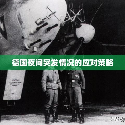 在线留言 第13页