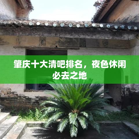 肇庆十大清吧排名，夜色休闲必去之地