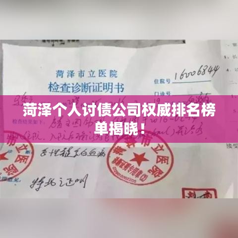菏泽个人讨债公司权威排名榜单揭晓！