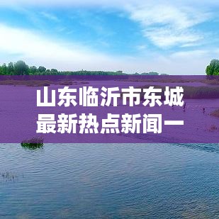 山东临沂市东城最新热点新闻一览