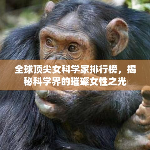 全球顶尖女科学家排行榜，揭秘科学界的璀璨女性之光