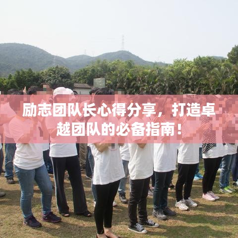 励志团队长心得分享，打造卓越团队的必备指南！
