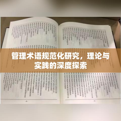 管理术语规范化研究，理论与实践的深度探索