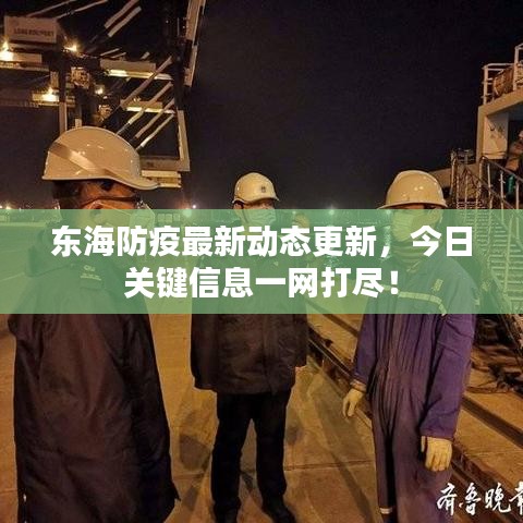东海防疫最新动态更新，今日关键信息一网打尽！
