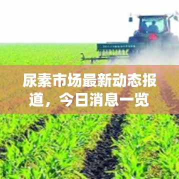 尿素市场最新动态报道，今日消息一览