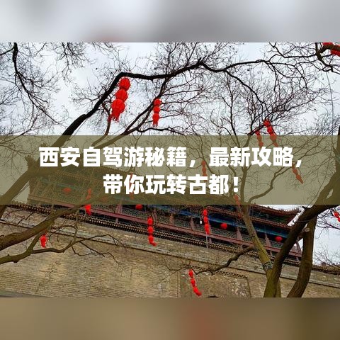 西安自驾游秘籍，最新攻略，带你玩转古都！
