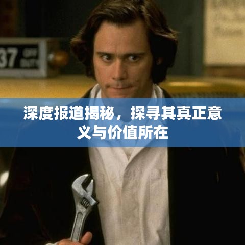 深度报道揭秘，探寻其真正意义与价值所在