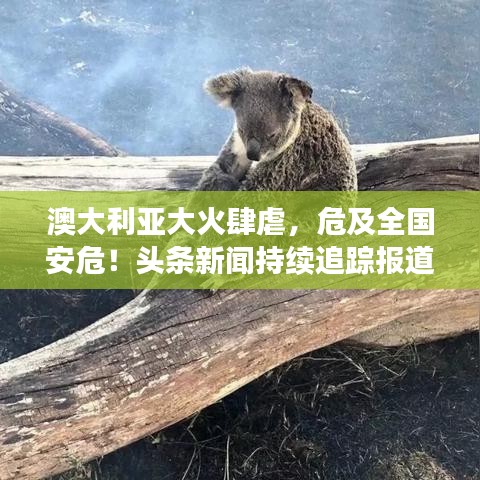 澳大利亚大火肆虐，危及全国安危！头条新闻持续追踪报道