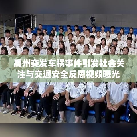 禹州突发车祸事件引发社会关注与交通安全反思视频曝光