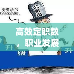 高效定职数，职业发展的秘密武器，提升效率的关键策略！