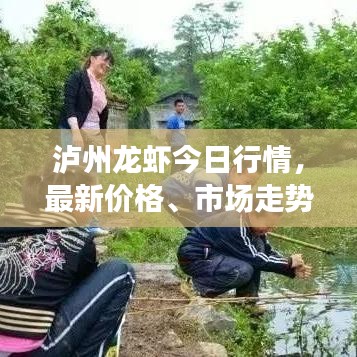 泸州龙虾今日行情，最新价格、市场走势与消费热点一网打尽！