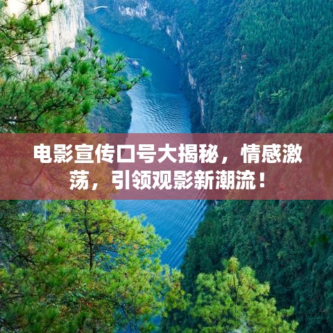 电影宣传口号大揭秘，情感激荡，引领观影新潮流！
